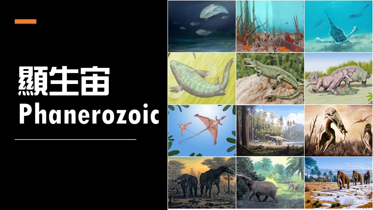 地球地質年代#29：顯生宙｜20分半了解生物多樣性進化及演變