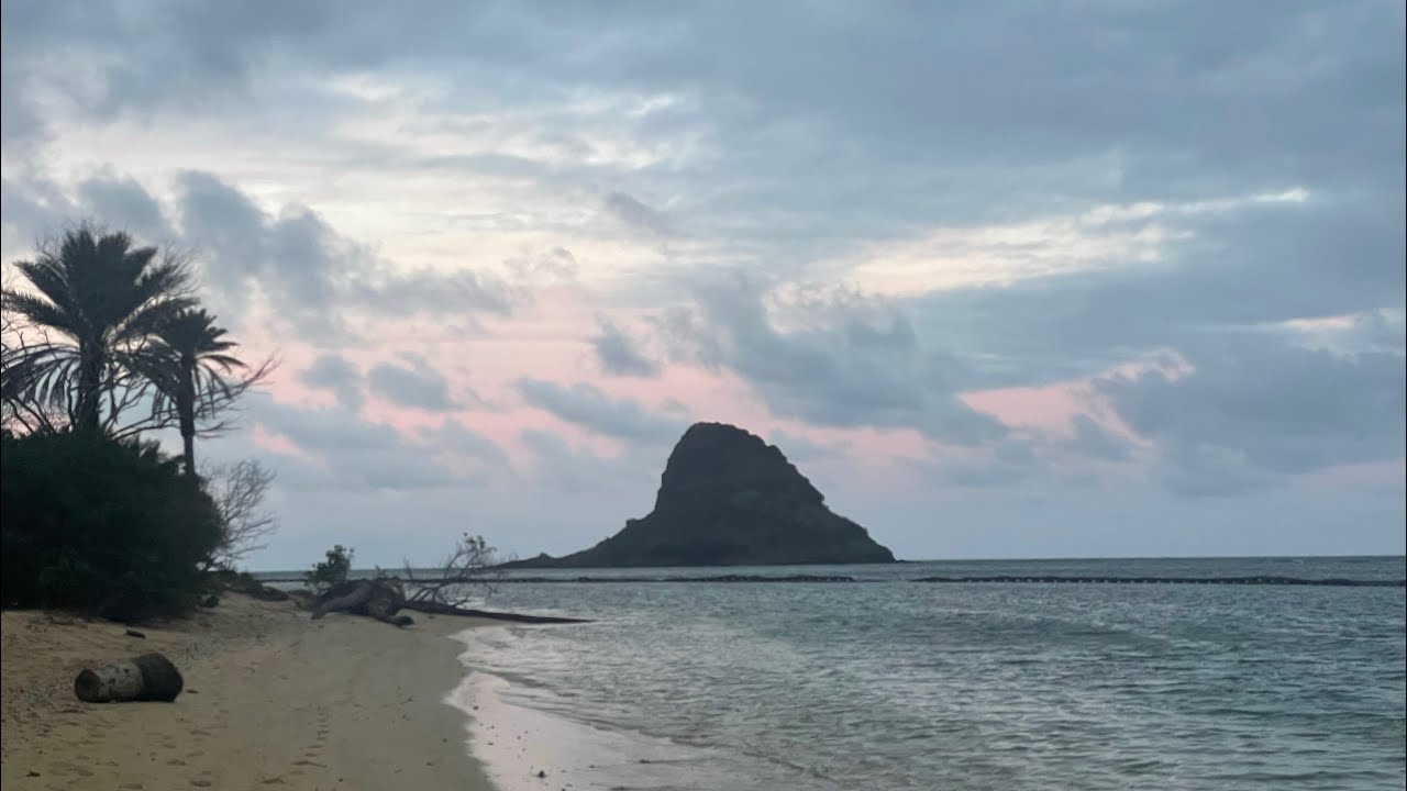 fly fishing on the island of oahu 