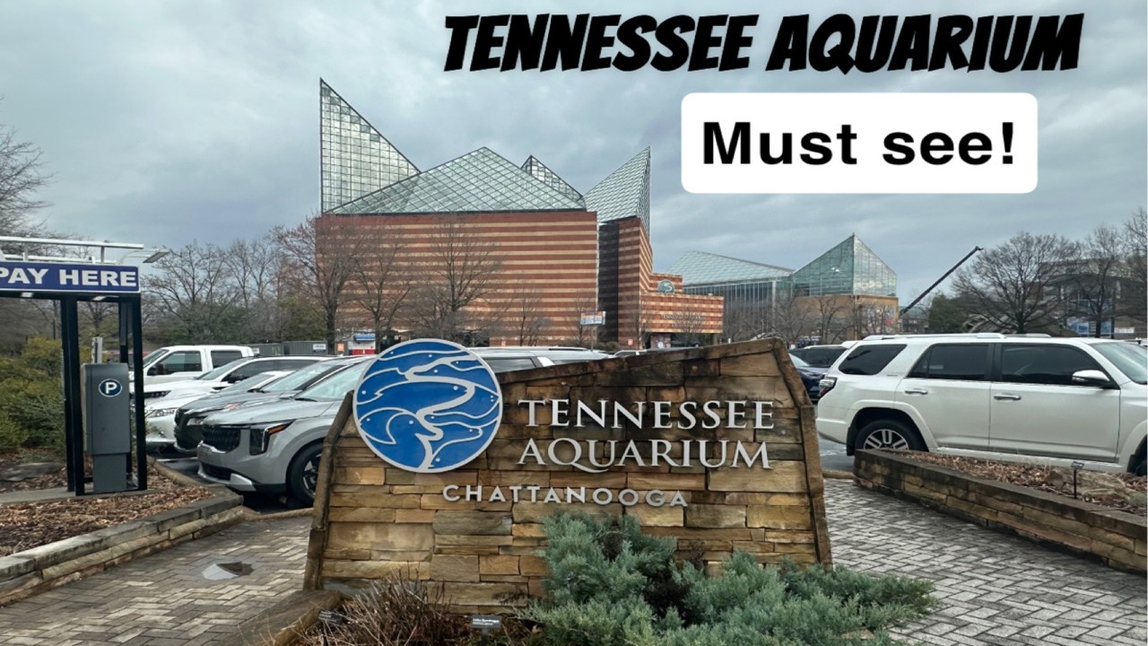 Tennessee Aquarium Chattanooga Must Visit! Complete walkthrough!#aquarium #fish #aquatic life