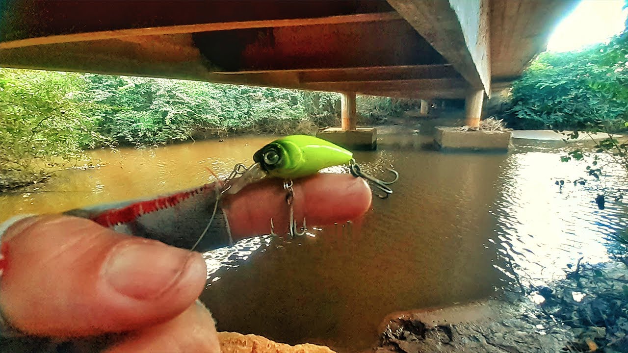 ISCA MINI CRANK PESCARIA ULTRALIGHT DE ROBALOS NO MANGUE