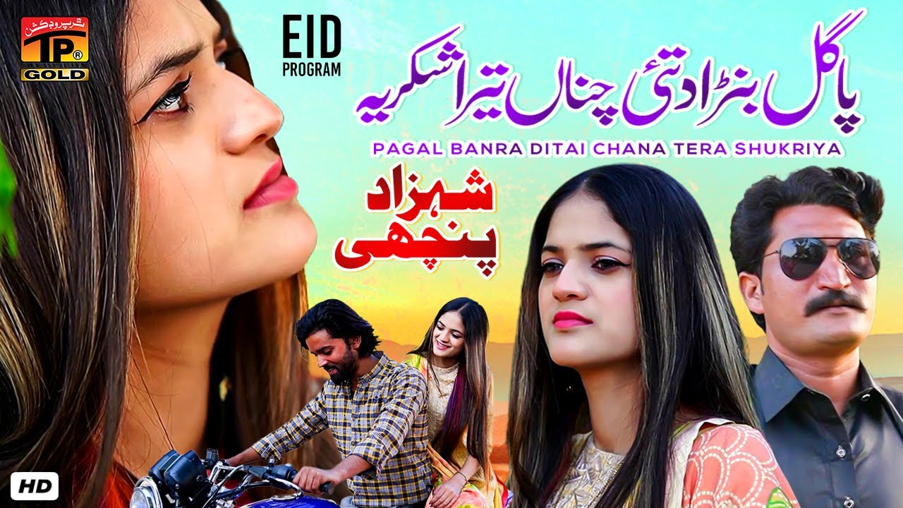 Pagal Banra Ditai Chana Tera Shukriya | Shezad Panchi | (Official Video) | Thar Production