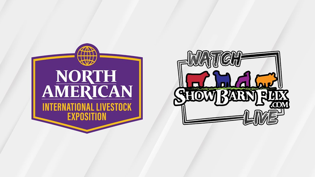 Jr. Breeding Sheep Showmanship - NAILE 2024