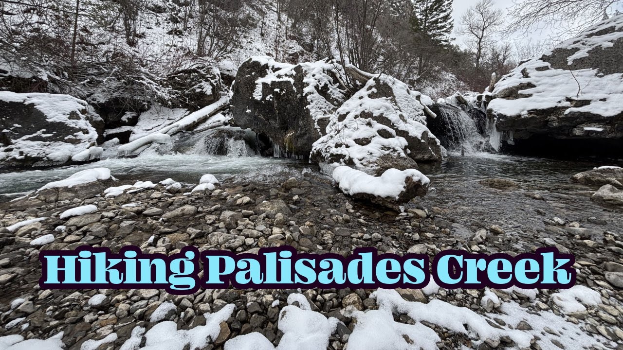 Hiking the Palisades Creek Trail in January