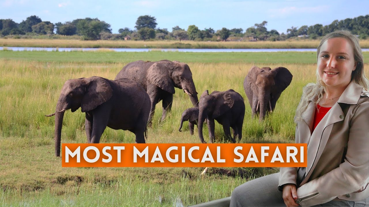 Одно из лучших сафари в мире в национальном парке Чобе, Ботсвана | Africa Adventure Vlog 3
