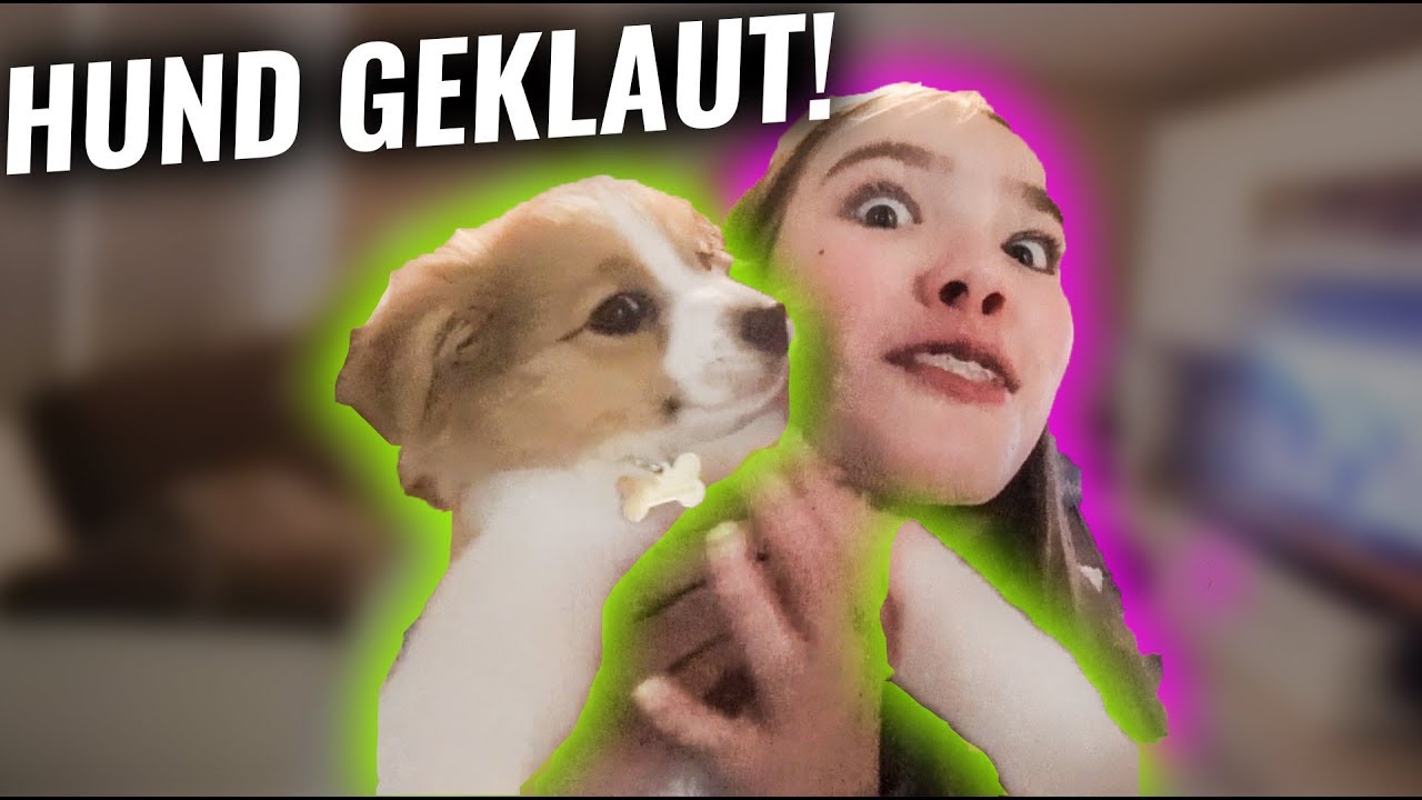 LEA klaut meinen Hund FLASH!