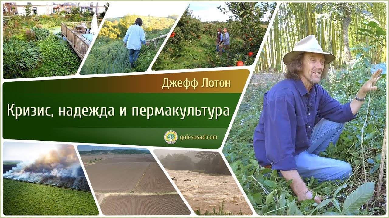 ДЖЕФФ ЛОТОН 