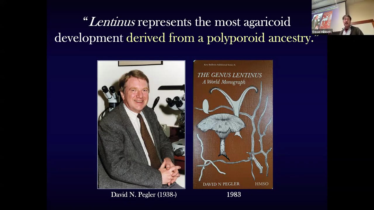 Deconstructing Lentinus by David Hibbett