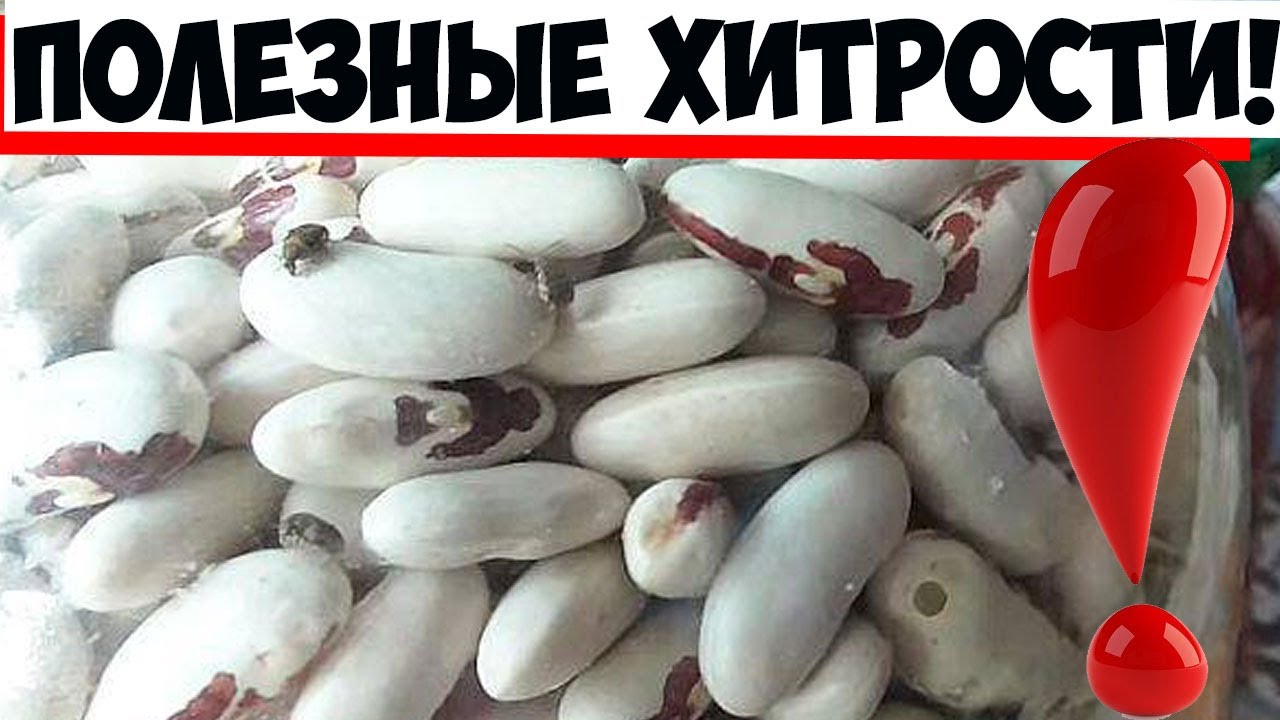Фасоль храню в обычном бумажном ящике, просто положив в него... Ни один жучок не заведется!