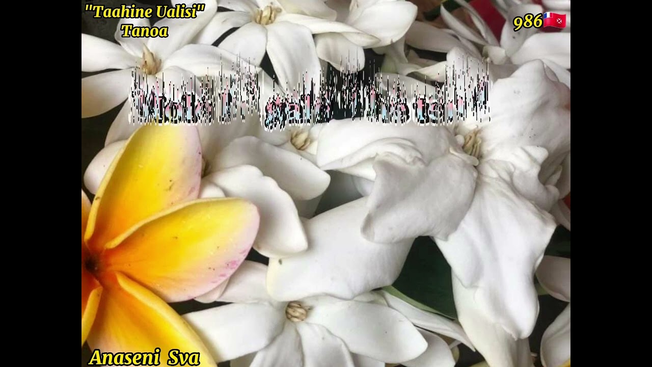 Ta'ahine Ualisi - Tanoa (Paroles/Lyrics)