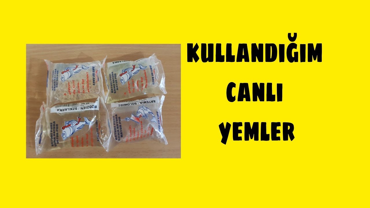 balıklarıma canlı yem çeşitleri aldım