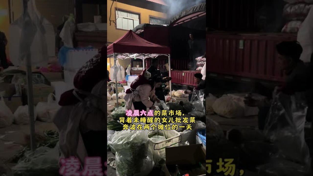 凌晨六点的菜市场  背着未睡醒的女儿批发菜 带着孩子 奔波在两个摊位的一天#单亲妈妈带着孩子 #创业路上的艰辛 #摆摊 #上热门 #上热门话题🔥🔥🔥 @抖音创作小助手 @DOU+小助手