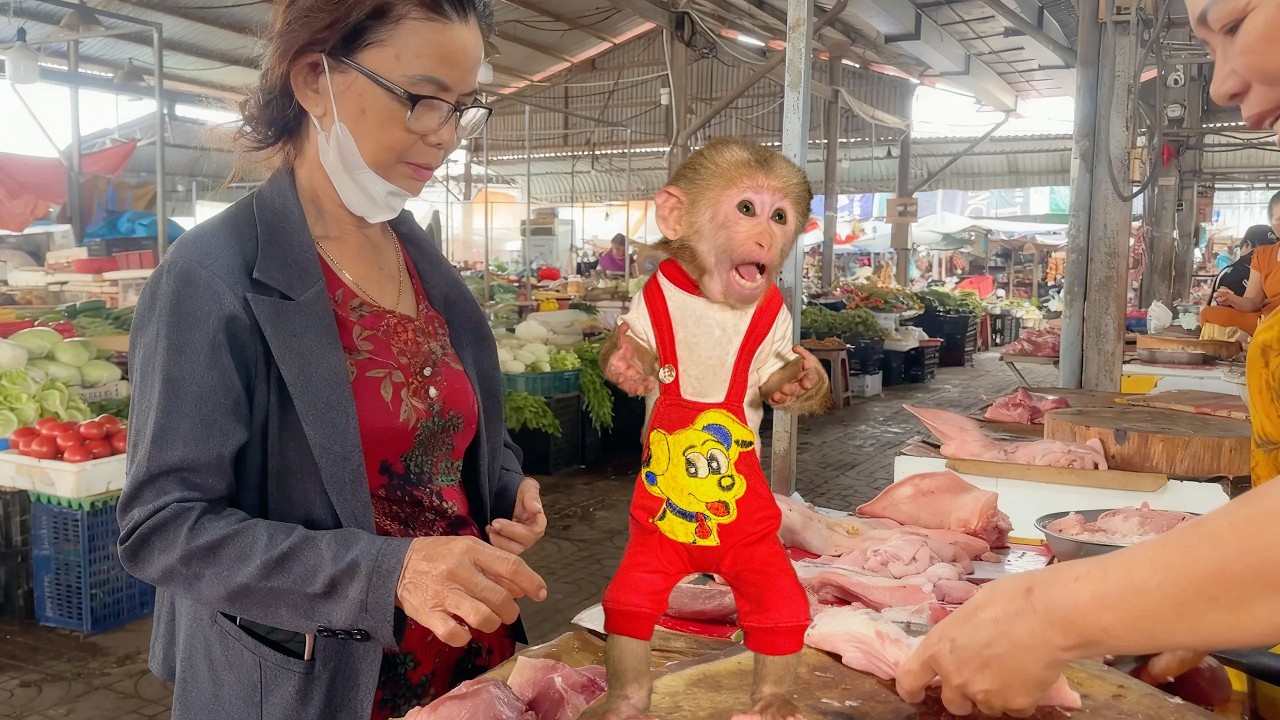 Lulu Is Showered with Love and Never Left Out of Any Family Activity