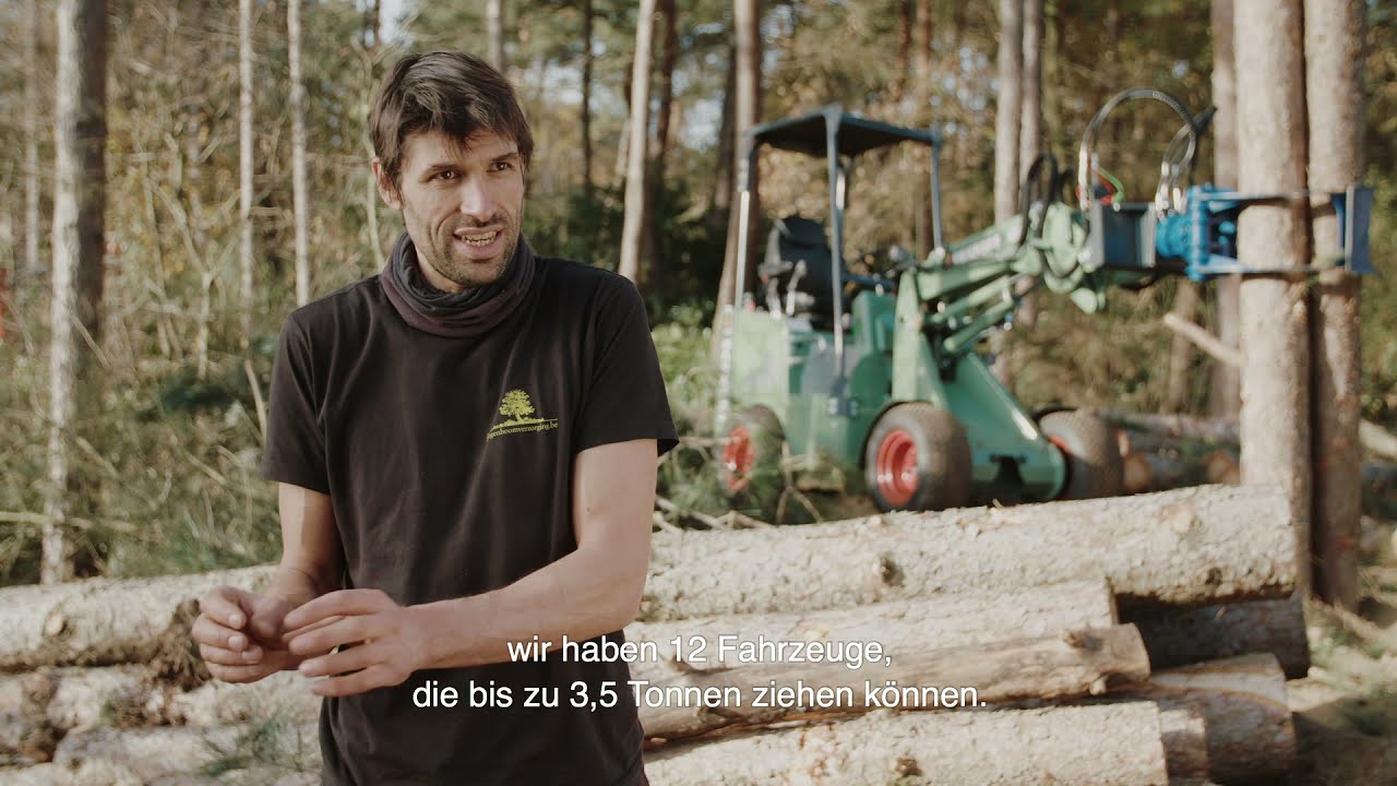 Knikmops aan die Arbeit - Forstwirtschaft