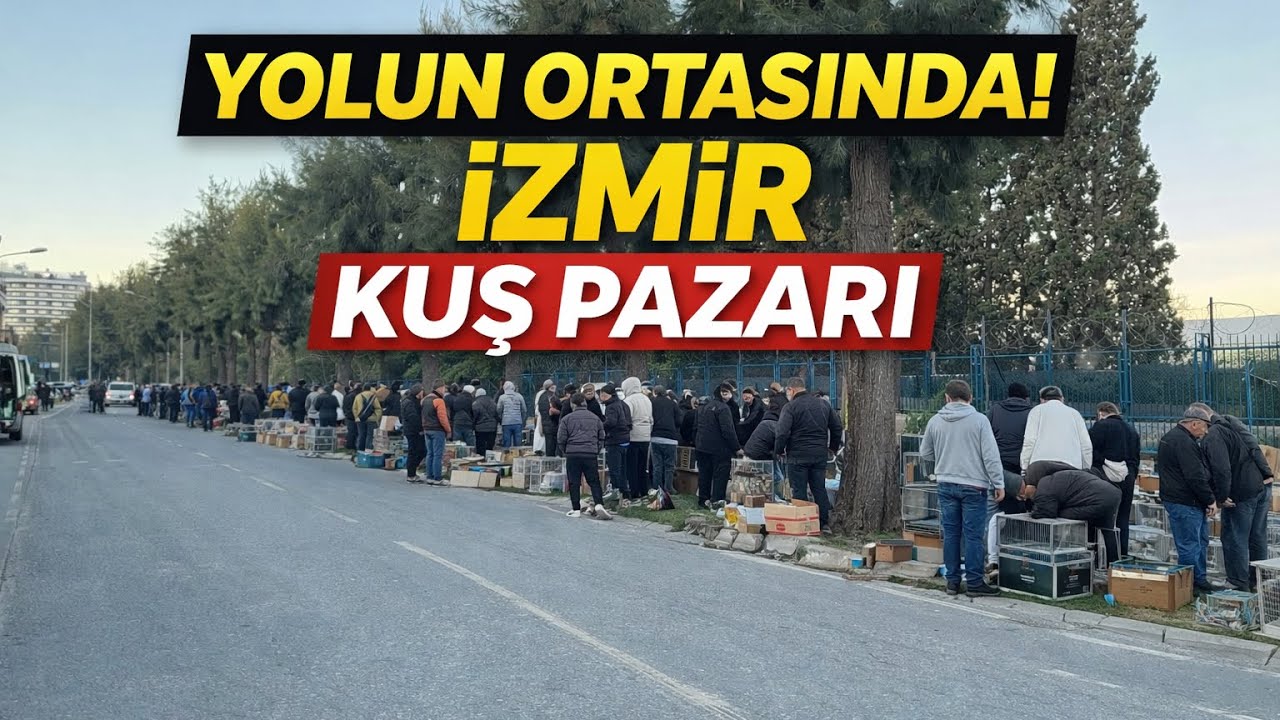 Yolun Ortasına Kuş Pazarı Kurmuşlar! İzmir Kuş Pazarı 