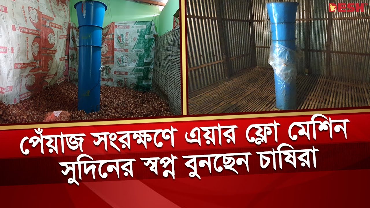 পেঁয়াজ সংরক্ষণে এয়ার ফ্লো মেশিন, সুদিনের স্বপ্ন বুনছেন চাষিরা | Air Flow Machine | Onion | Desh TV