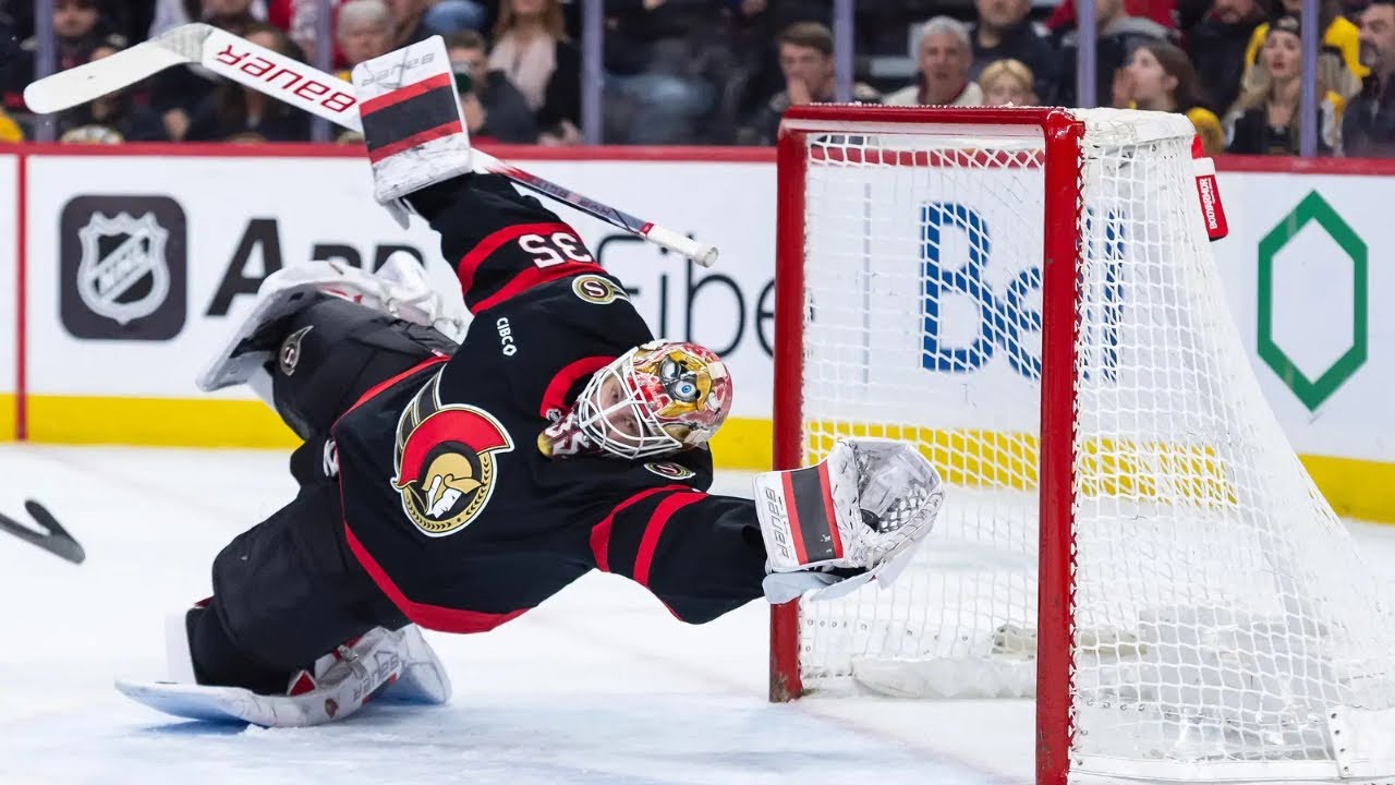NHL: Diving Glove Saves Part 2