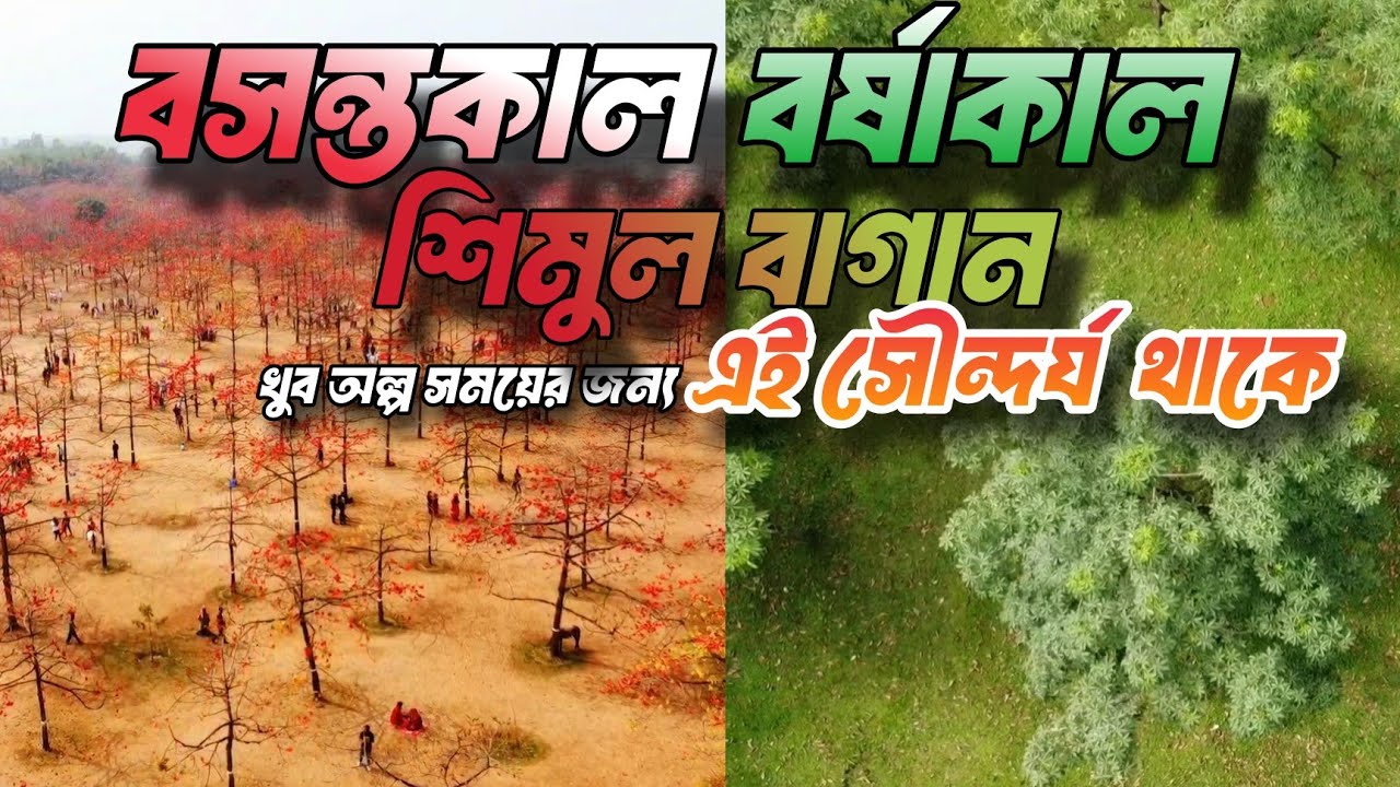 এক দিনেই সুনামগঞ্জ ভ্রমণ এর সবকিছু | Dhaka to Sunamganj Day tour | শিমুল বাগান | Tanguar Haor Tour