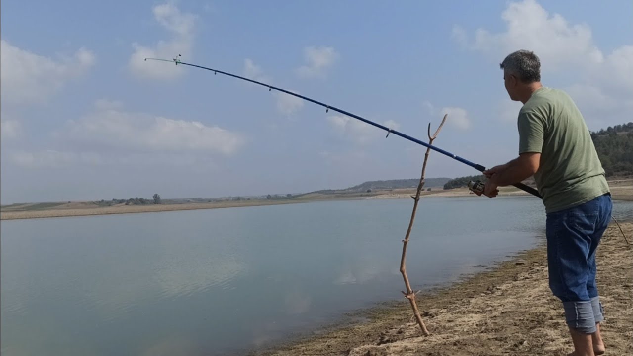 SAZAN AVI,ADANA SEYHAN IRMAĞI 