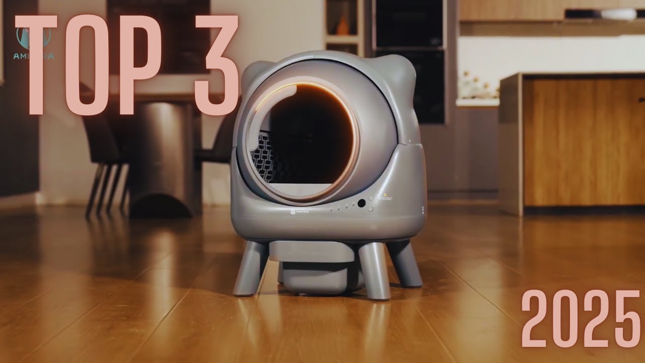 Top 3 des meilleures litières autonettoyantes pour chats en 2025 !