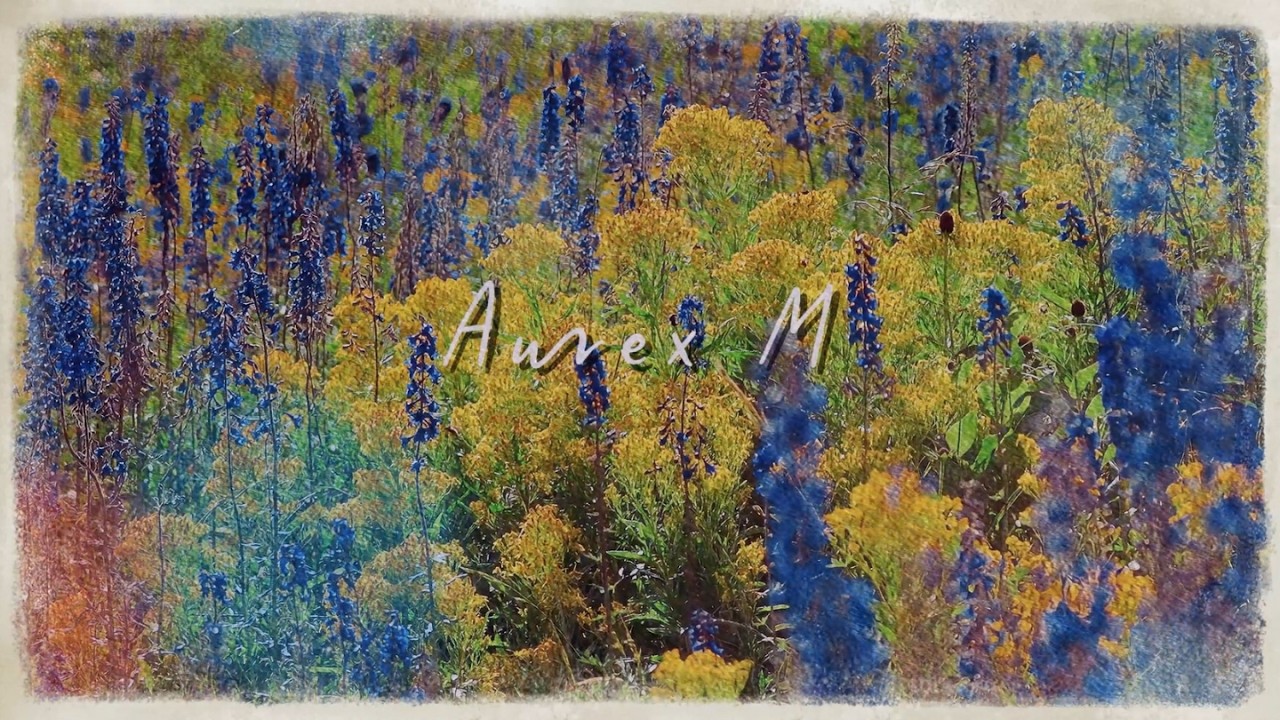 Aurex M - 