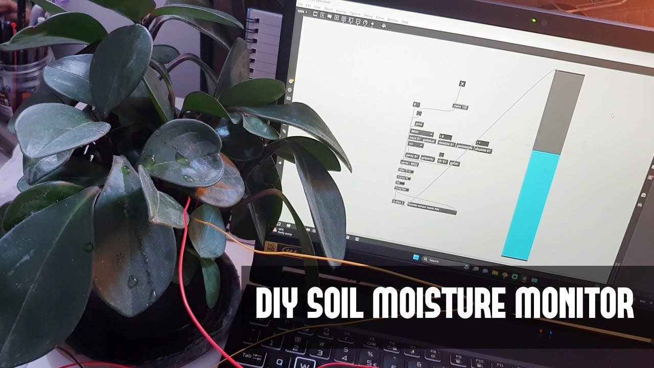 Turning Soil Moisture into Music: A Max MSP Experiment