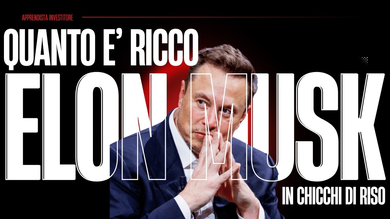 È giusto che Elon Musk sia così ricco? 1,8 milioni di chicchi di riso per capirlo