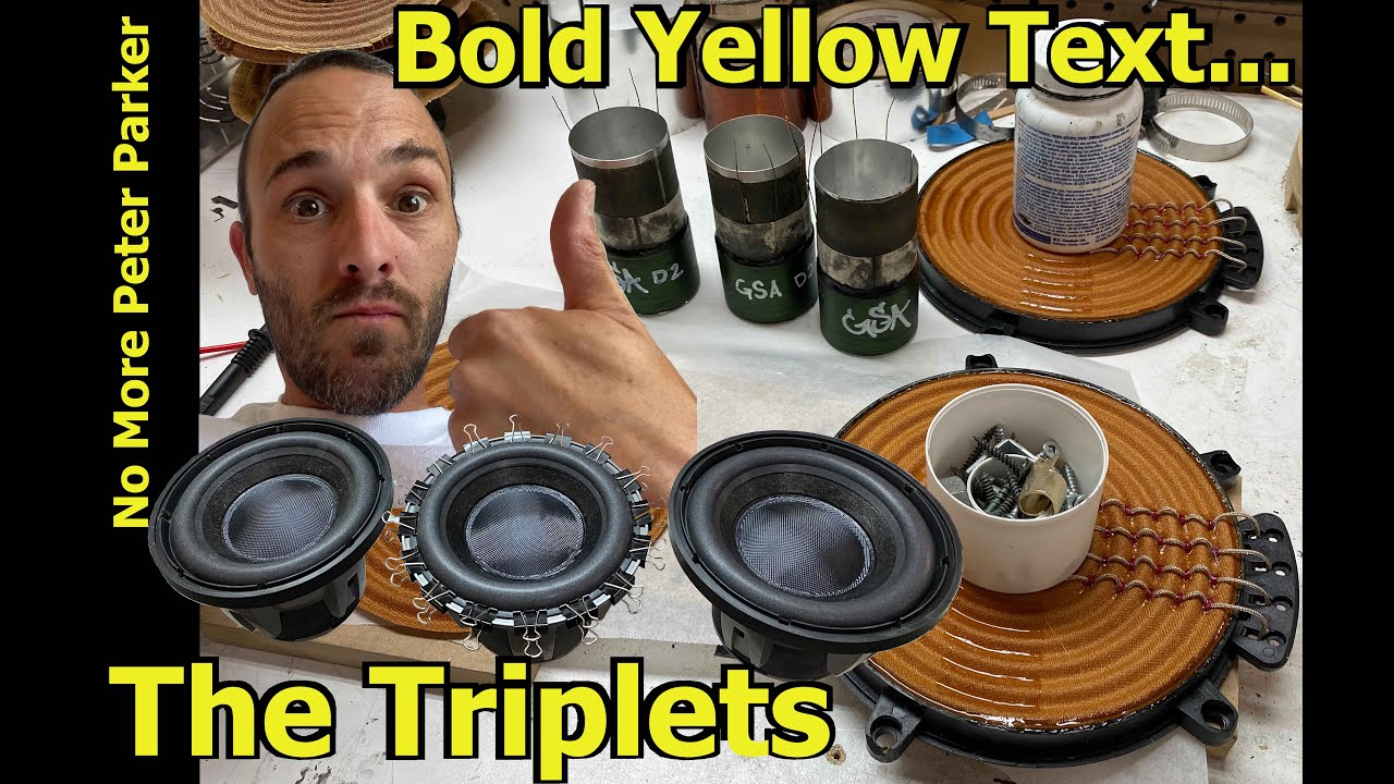 Alpine Type R Triplets DIY Custom 10" Sub Upgrade
