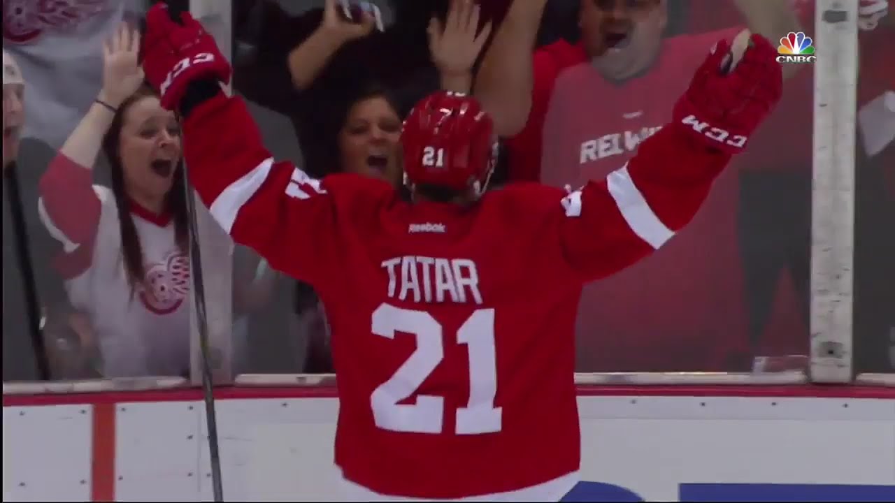 Tomas Tatar Goals (2014-2015)