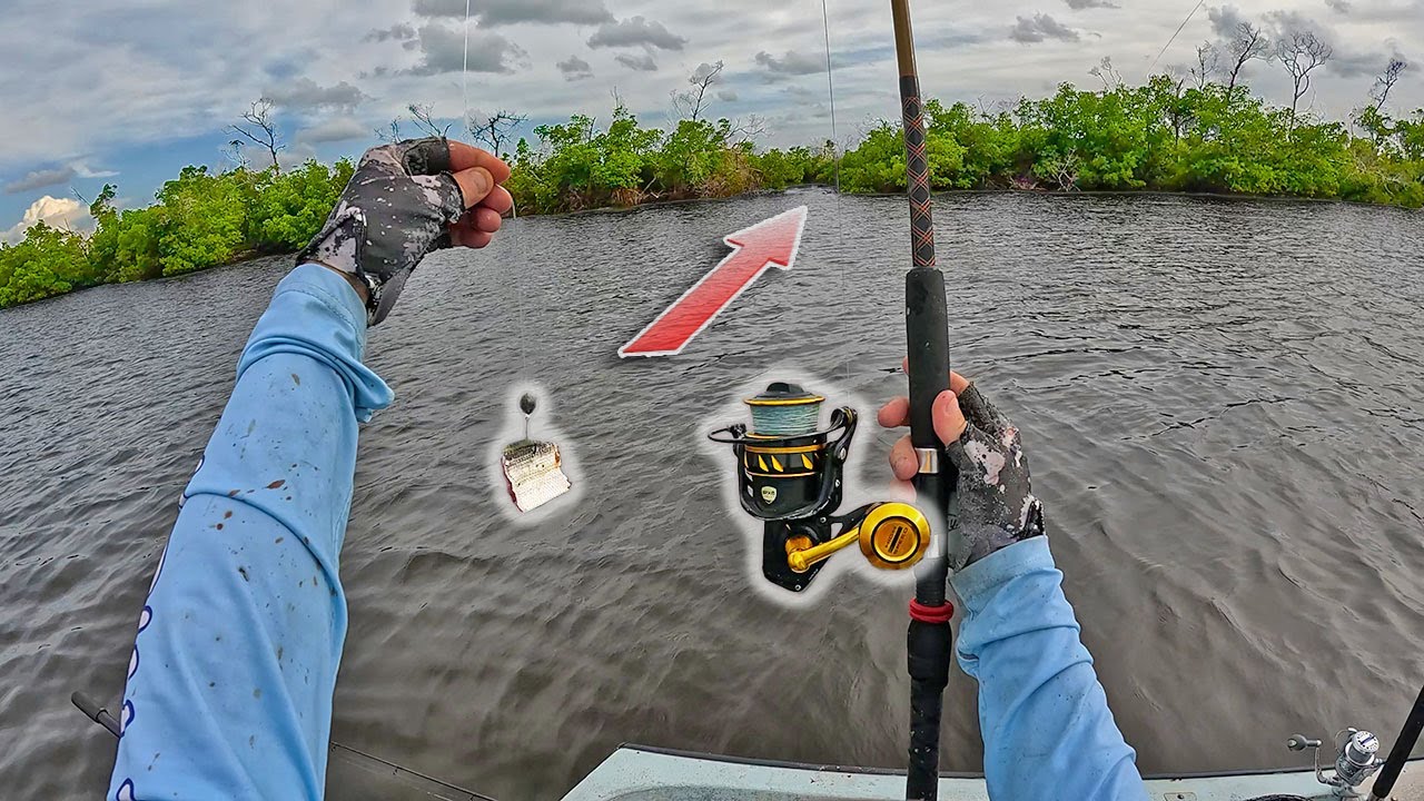Insane Night Fishing In Sanibel Island! Monster Snook, Redfish, Tarpon, Grouper and More!