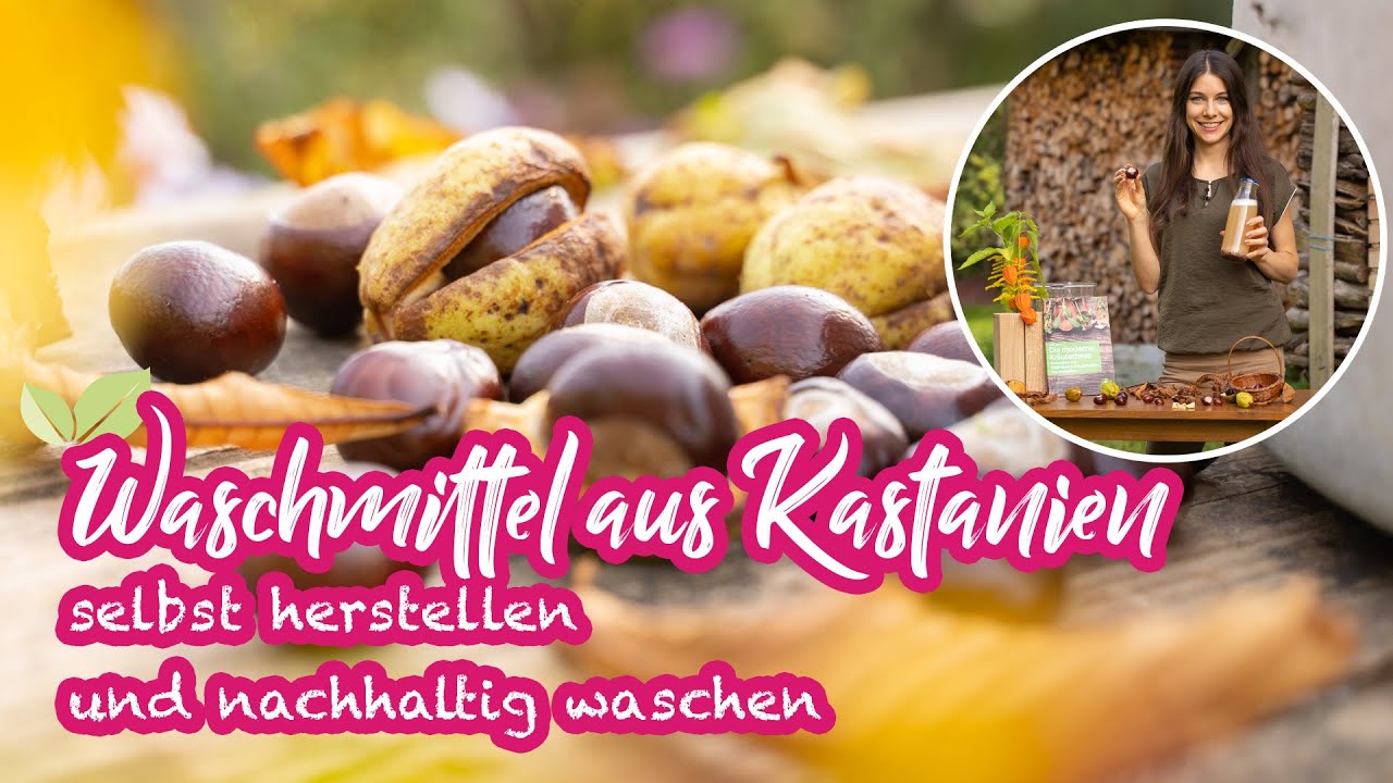 Waschmittel aus Kastanien - nachhaltig und natürlich waschen und eigenen Waschmittelvorrat anlegen