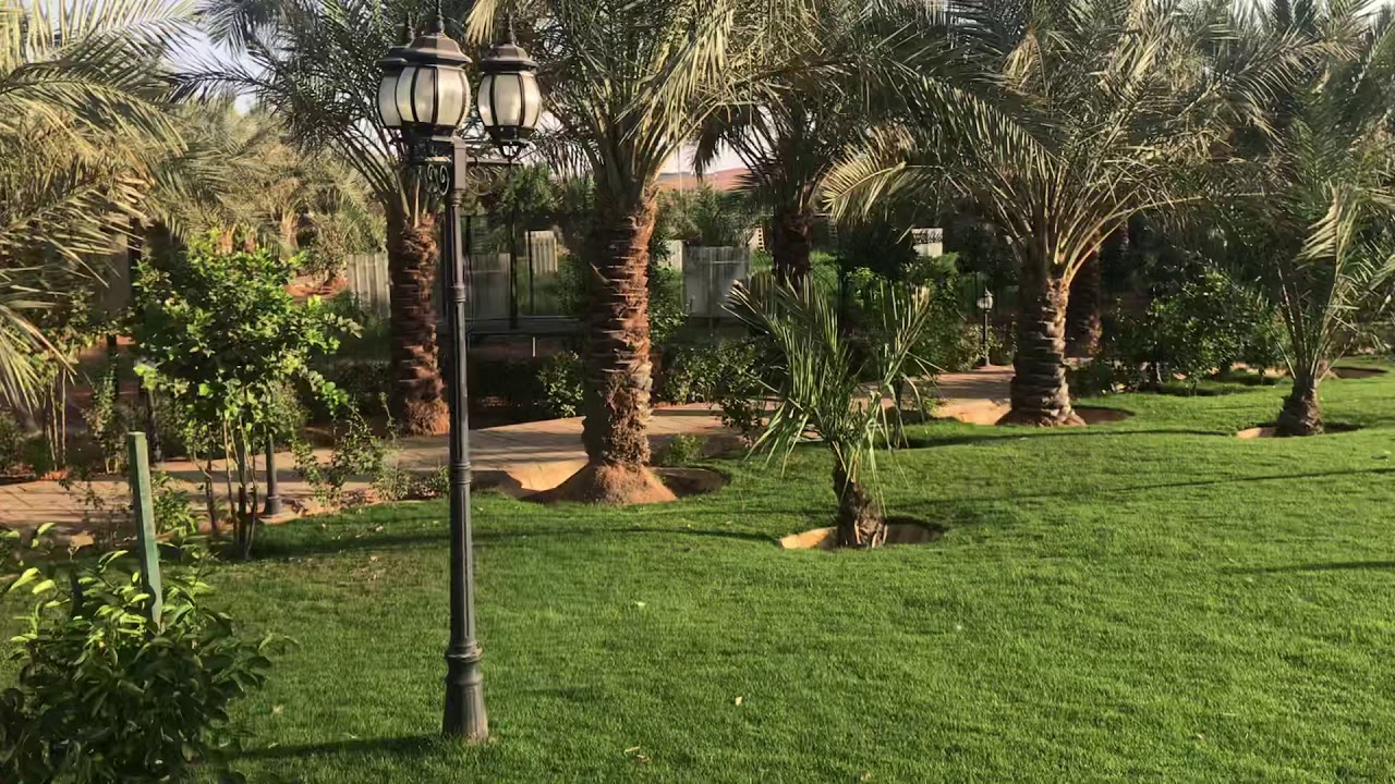 تصميم حدائق تنسيق زراعة فلل استراحة حدائق منزلية بالفيديو افكارحدائق روعة الرياض 15