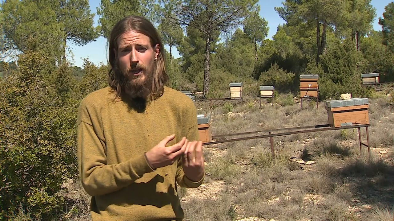 Life Terra. Samuel Cerrudo, el apicultor que planta árboles para 