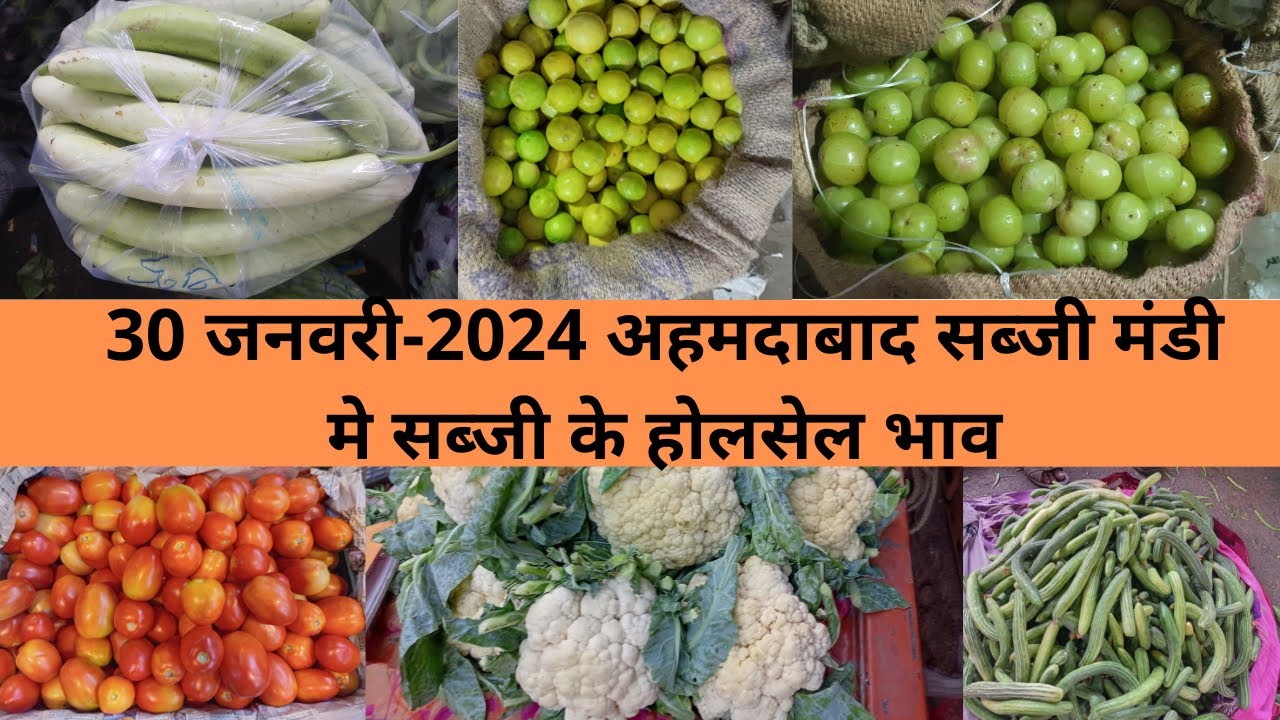Ahmedabad wholesale vegetable market | 30 January 2024 | अहमदाबाद सब्जी मंडी मे सब्जी के भाऊ..