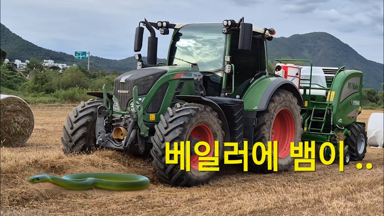 베일러가 삼켜버린 충격적인 손님 