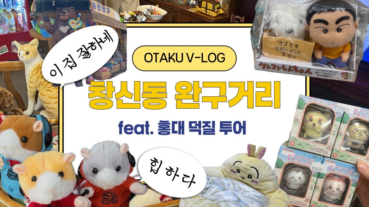 창신동 완구거리부터 홍대 굿즈샵까지 가로지르는 오타쿠 브이로그 (Feat. 우사기 강쥐집)