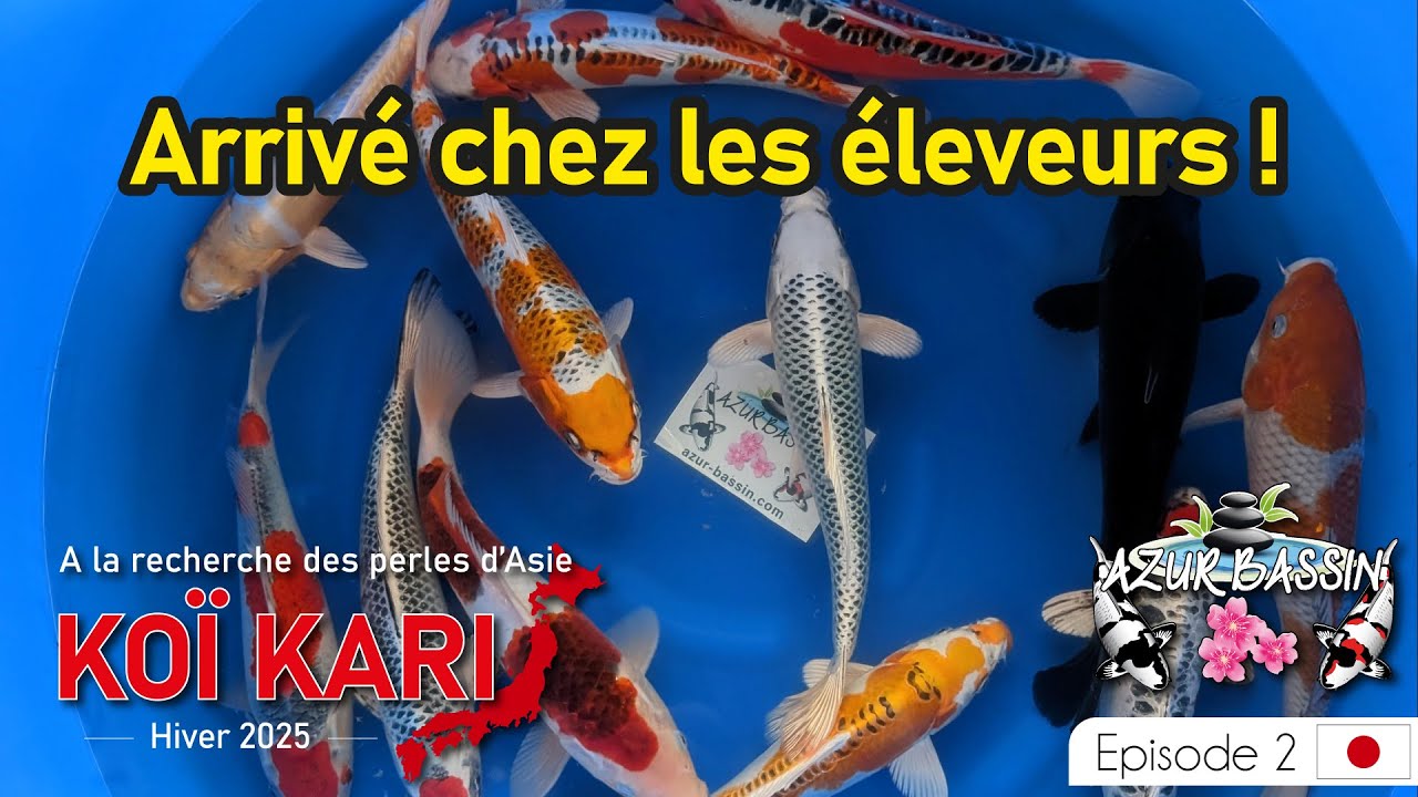 Arrivé chez les éleveurs Hiver 2025 Ep2