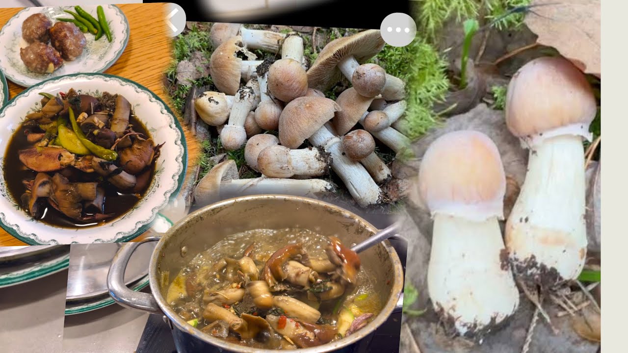 แกงเห็ดปลวกฝรั่ง ปิ้งส้มเนื้อแซ่บคัก#cooking #ยายโสในต่างแดน