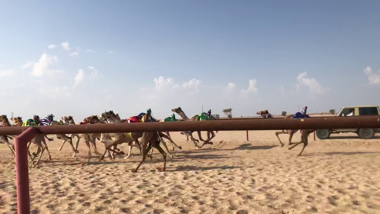 استعجال للسيد سعد سويلم العميري