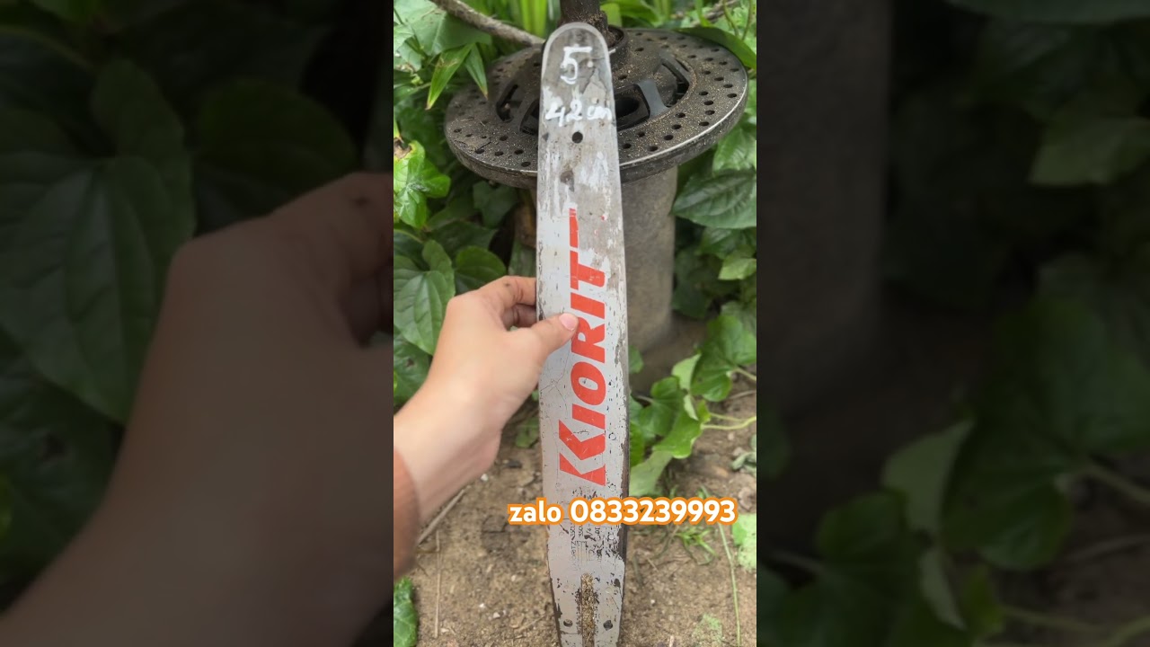 Lam lưỡi xưa x&iacute;ch b&atilde;i nhật #lammaycua #lưỡicưahợpkim #maycua