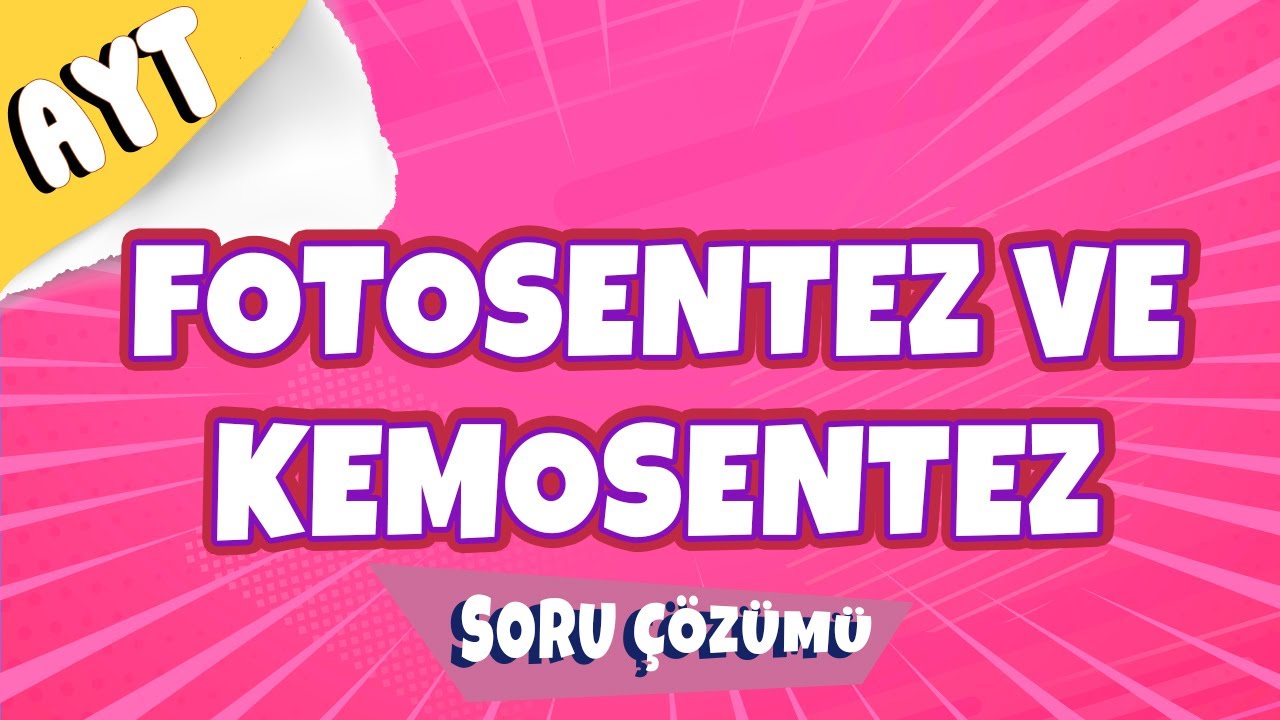 Fotosentez ve Kemosentez Soru Çözüm |  AYT 2022