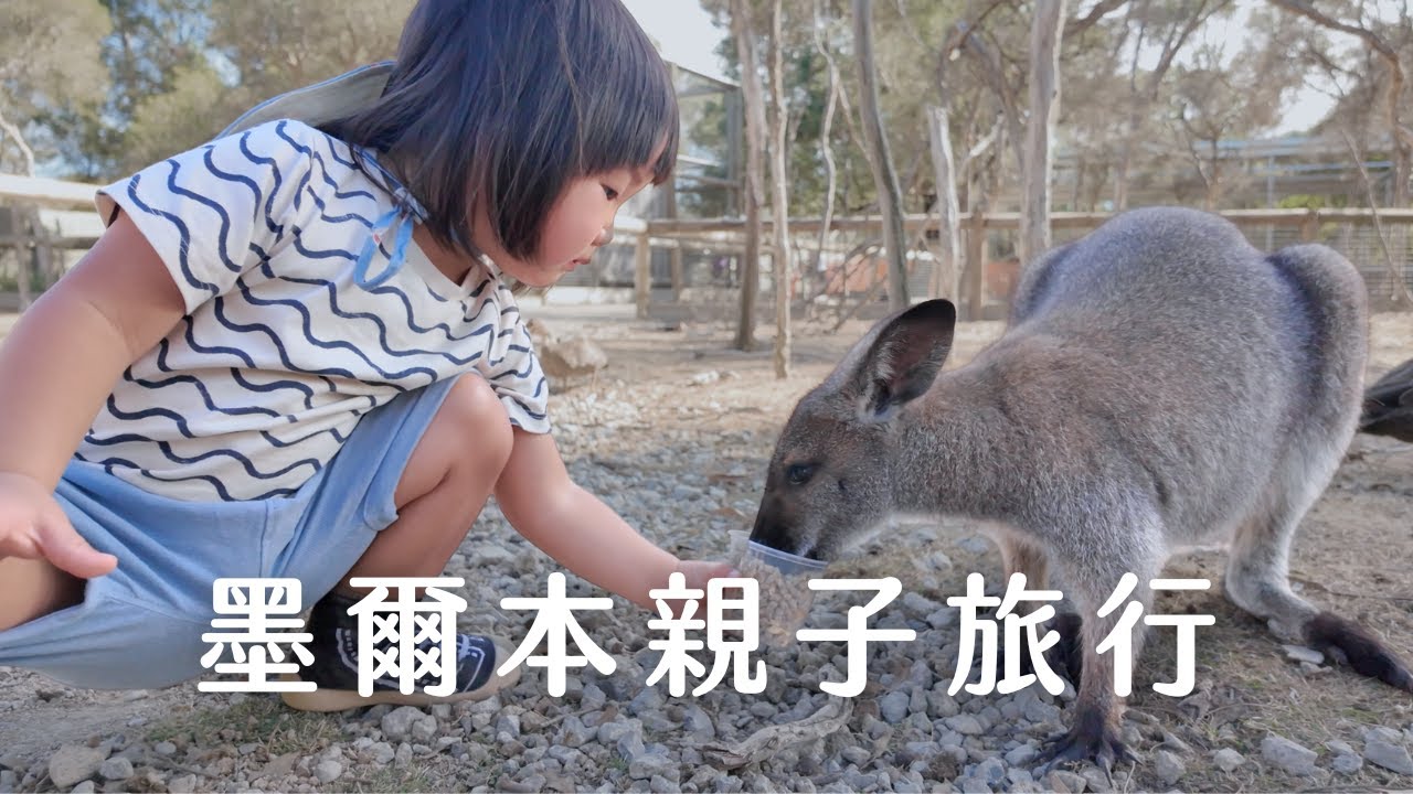 現實很崩潰，但影片很好看的家庭旅行｜墨爾本溫泉、餵袋鼠、空中纜車