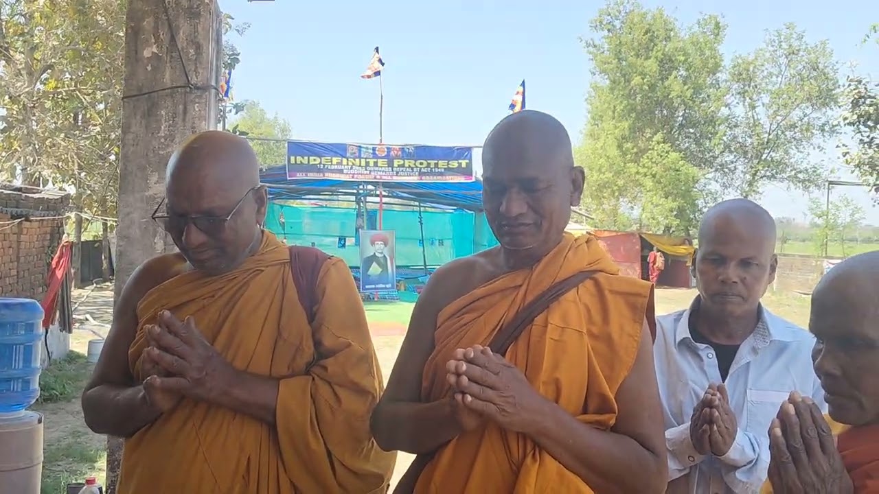 Bodhi Tree plant from BuddhGaya by Bhikkhu Dhammabodhi, Hadoli, Nanded Maharashtra 