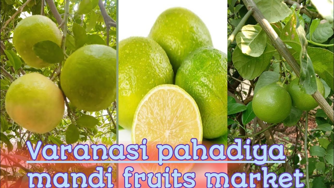 Varanasi purvanchal Pahadiya fruits mandi // #ytshorts #fact #vlog #minivlog #fruit #varansi #kashi 