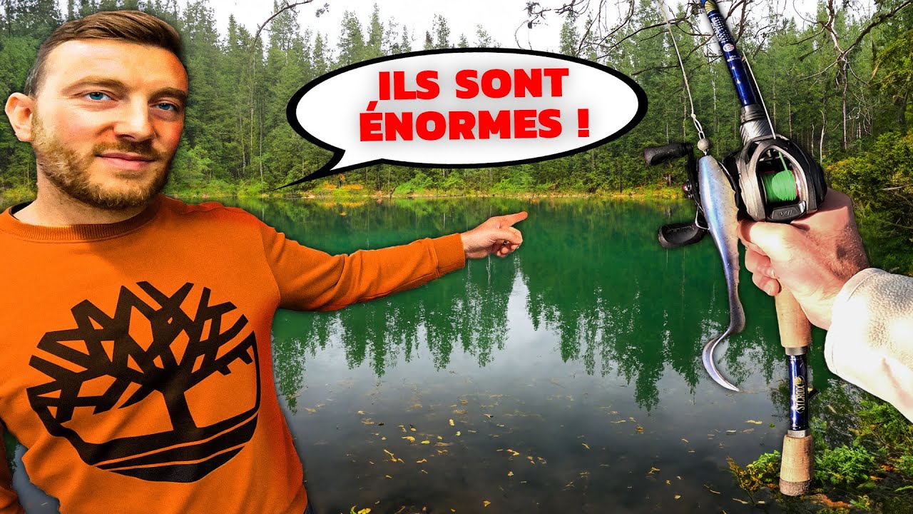 Cet homme m'autorise &agrave; P&ecirc;cher son Petit &Eacute;tang en For&ecirc;t et je ne m'attendais pas &agrave; &Ccedil;A !