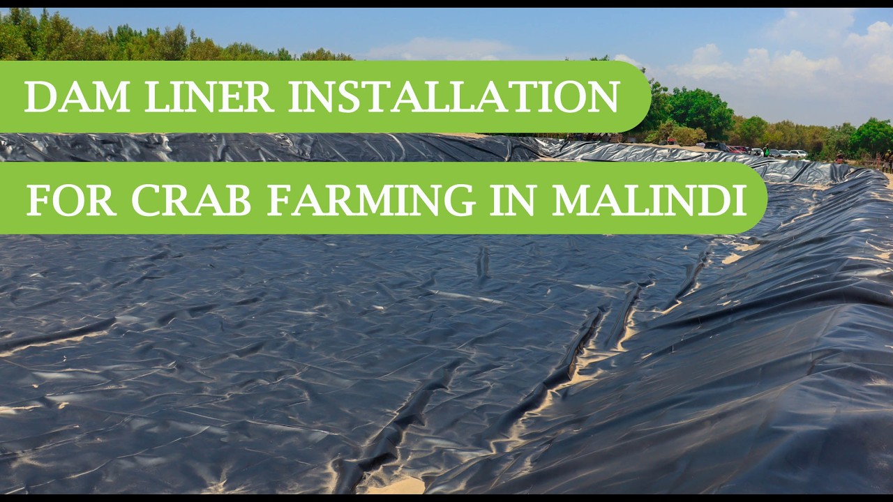 How Dam Liner Installation Is Done