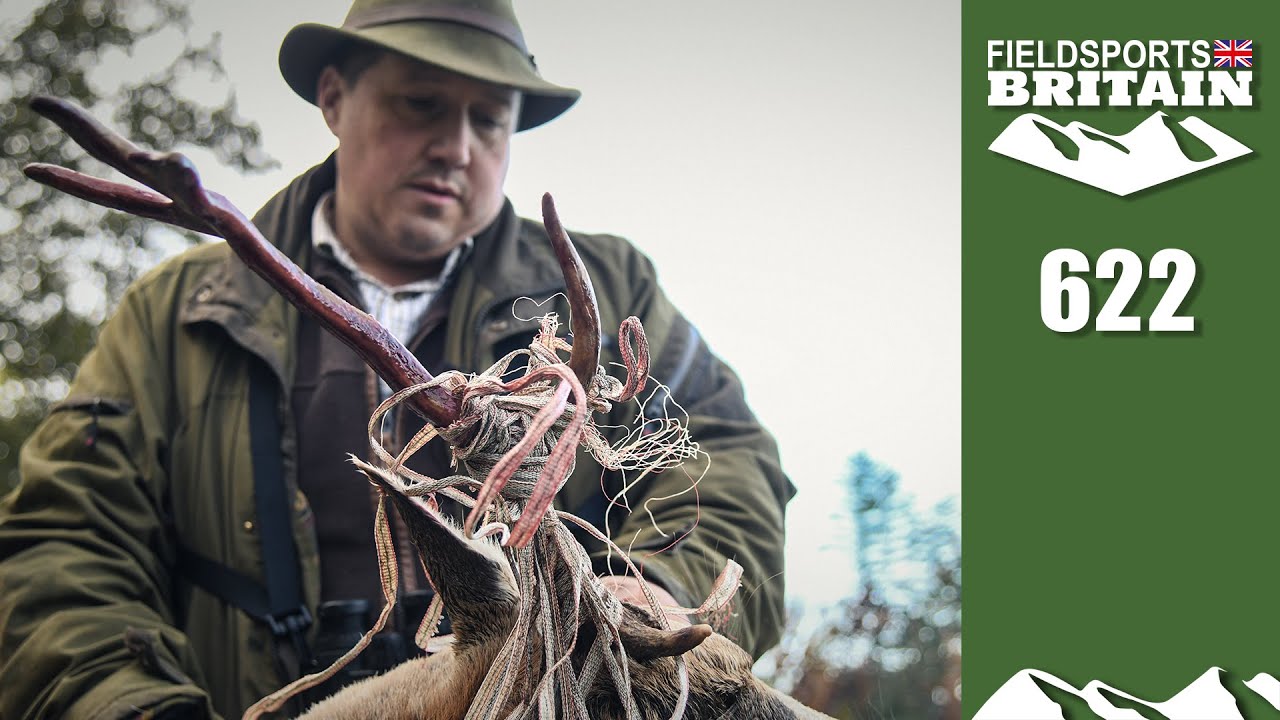 Fieldsports Britain – Roy's ropey buck endgame