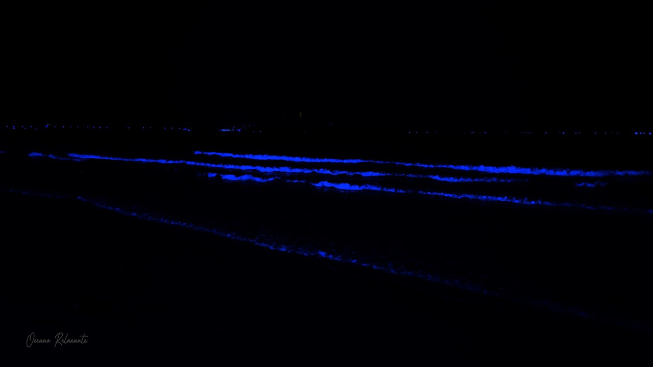 Calming Ocean Sounds • Relieve Emotional Pain, Ease Stress • Discover Deep Restful Healing (No Ads)