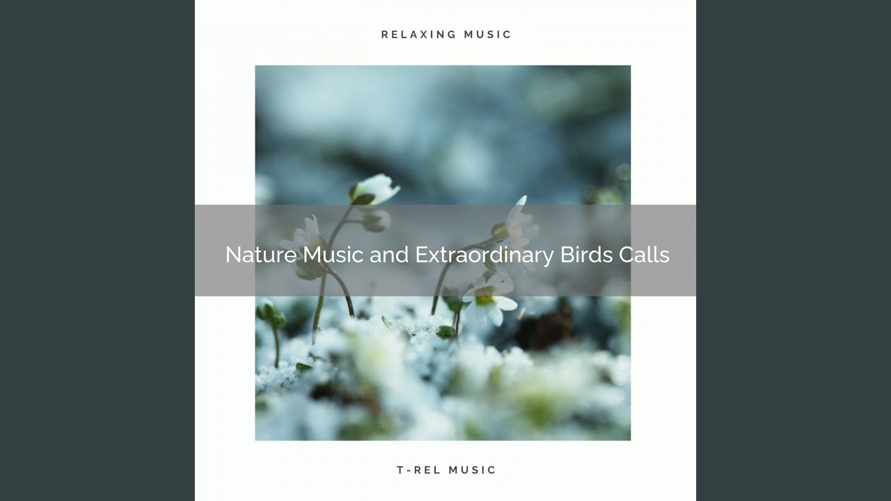 Feel Unique Sleep with Virgin Nature Tunes for Calm down pt. 1