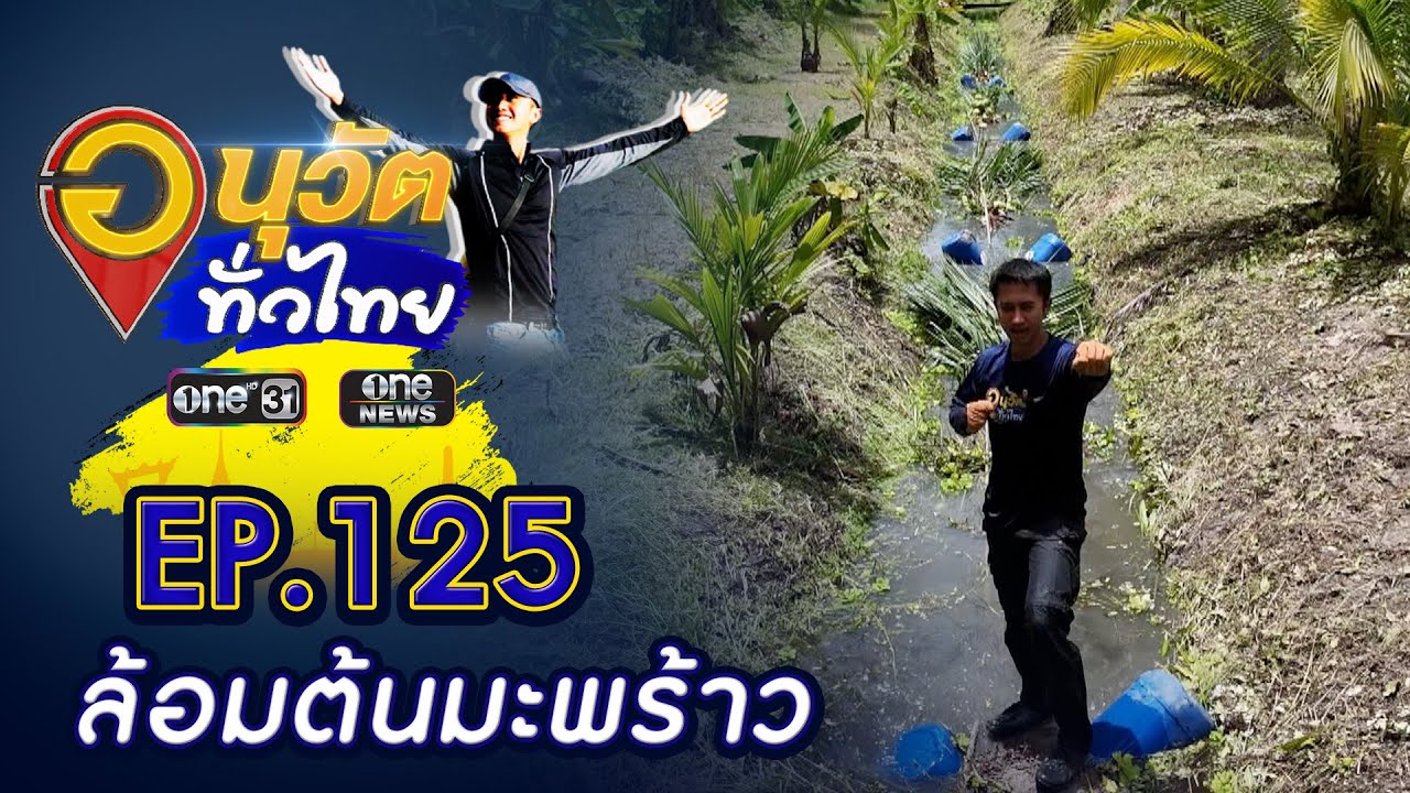 ล้อมต้นมะพร้าว จ.ราชบุรี | อนุวัตทั่วไทย | EP 125 | ข่าวช่องวัน | one31