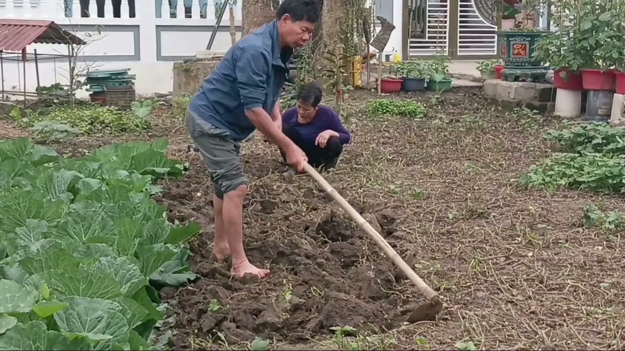 ​Slow Living Vietnam: Old Couple&rsquo;s Dream Garden & Peaceful Countryside House